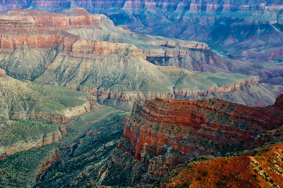 Grand Canyon-