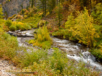 IMG_3408-Edit