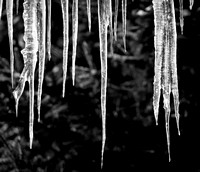 _DSC1279-Edit