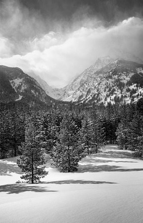 DSC_4261-Edit-Edit