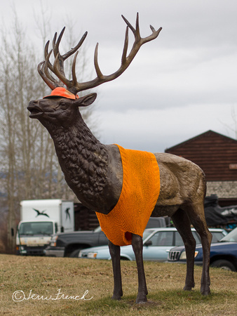 Elk Statue at Wilson, Wyoming