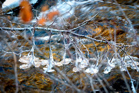 DSC_2381-Edit