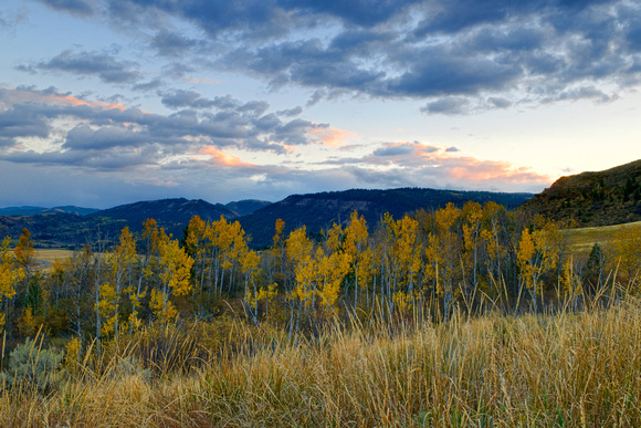 _DSC7741_2-Edit
