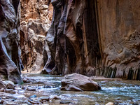 IMG_3792-Edit