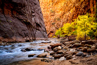 Zion and Bryce National Parks