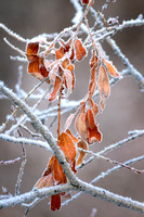 DSC_2347-Edit