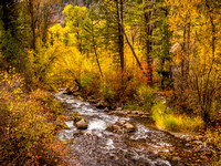_A040128-Edit