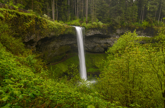 _DSC4205-Edit