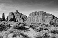 _DSC1452-Edit