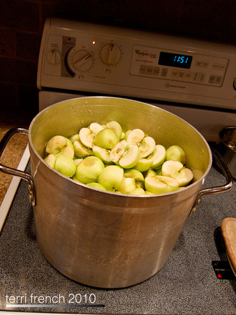 Making Applesauce-2