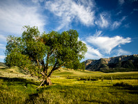 _7200130-Edit