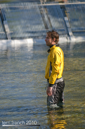 Sockeye Release at Redfish Outlet-33