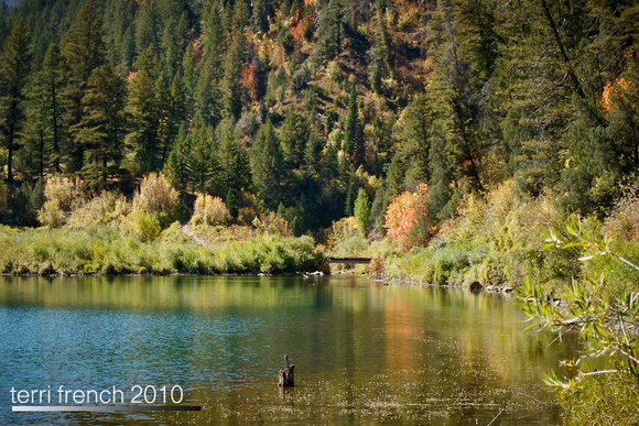 IMG_3434-Edit