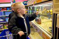 20100407-IMG_1597