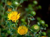 _8010066-Edit