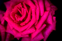 _DSC9304