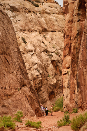 Hiking in Capitol Gorge