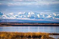 _DSC2430-Edit