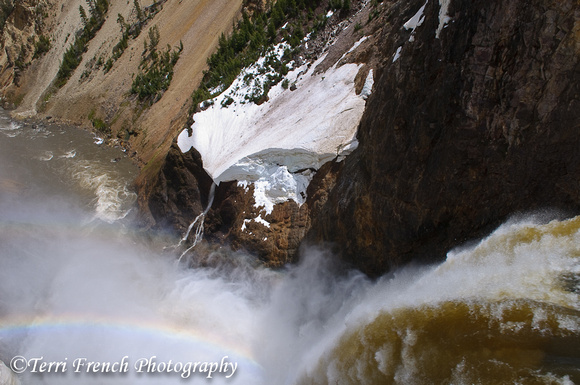 Brink of the Lower Yellowstone Falls
