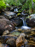 _8110162-Edit