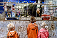 IMG_3116-Edit