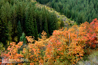 IMG_3391-Edit