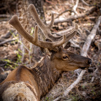 _DSC4273-Edit