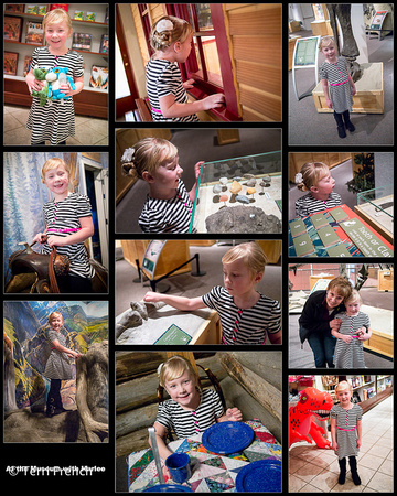 Harlee Museum Collage