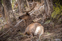 _DSC4283-Edit