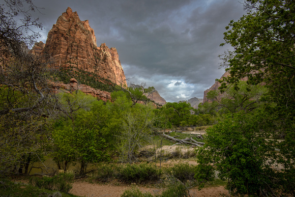 Three Patriarchs, Zion National Park