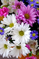 20100423-_DSC9803-Edit